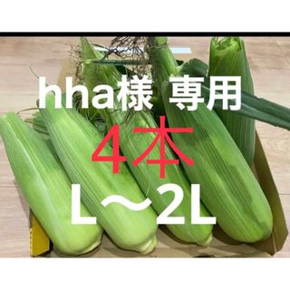 ゴールドラッシュ　トウモロコシ(野菜)