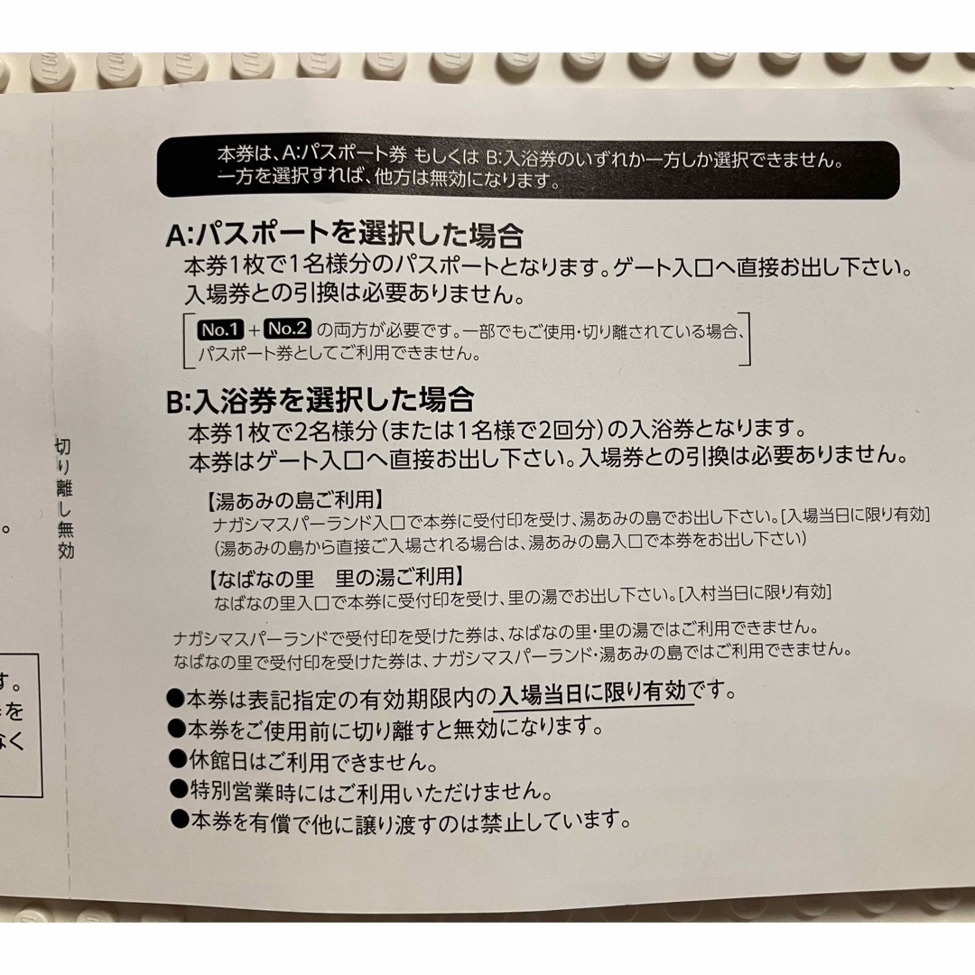 ナガシマスパーランド　パスポート券　1枚