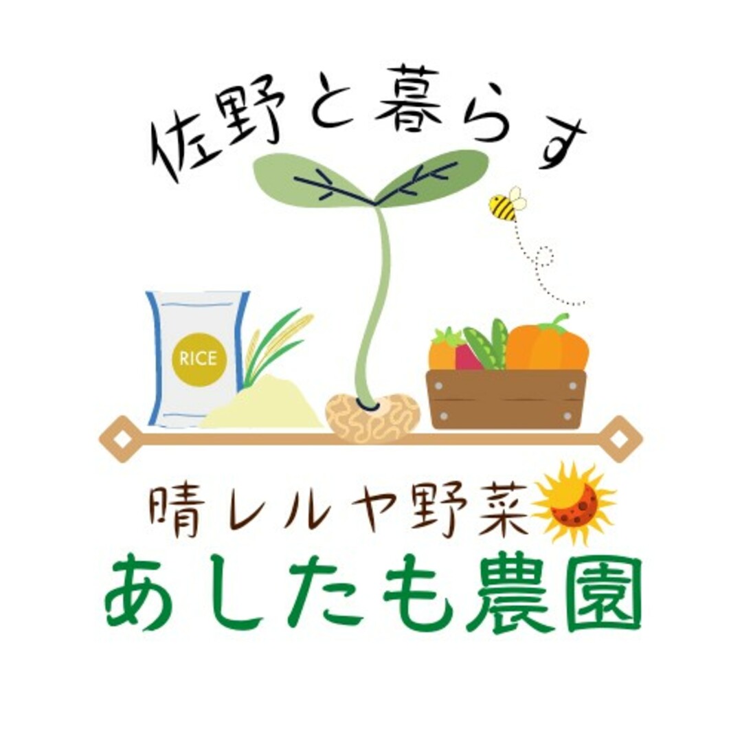 農家直送！夏野菜詰め合わせ80サイズ 食品/飲料/酒の食品(野菜)の商品写真