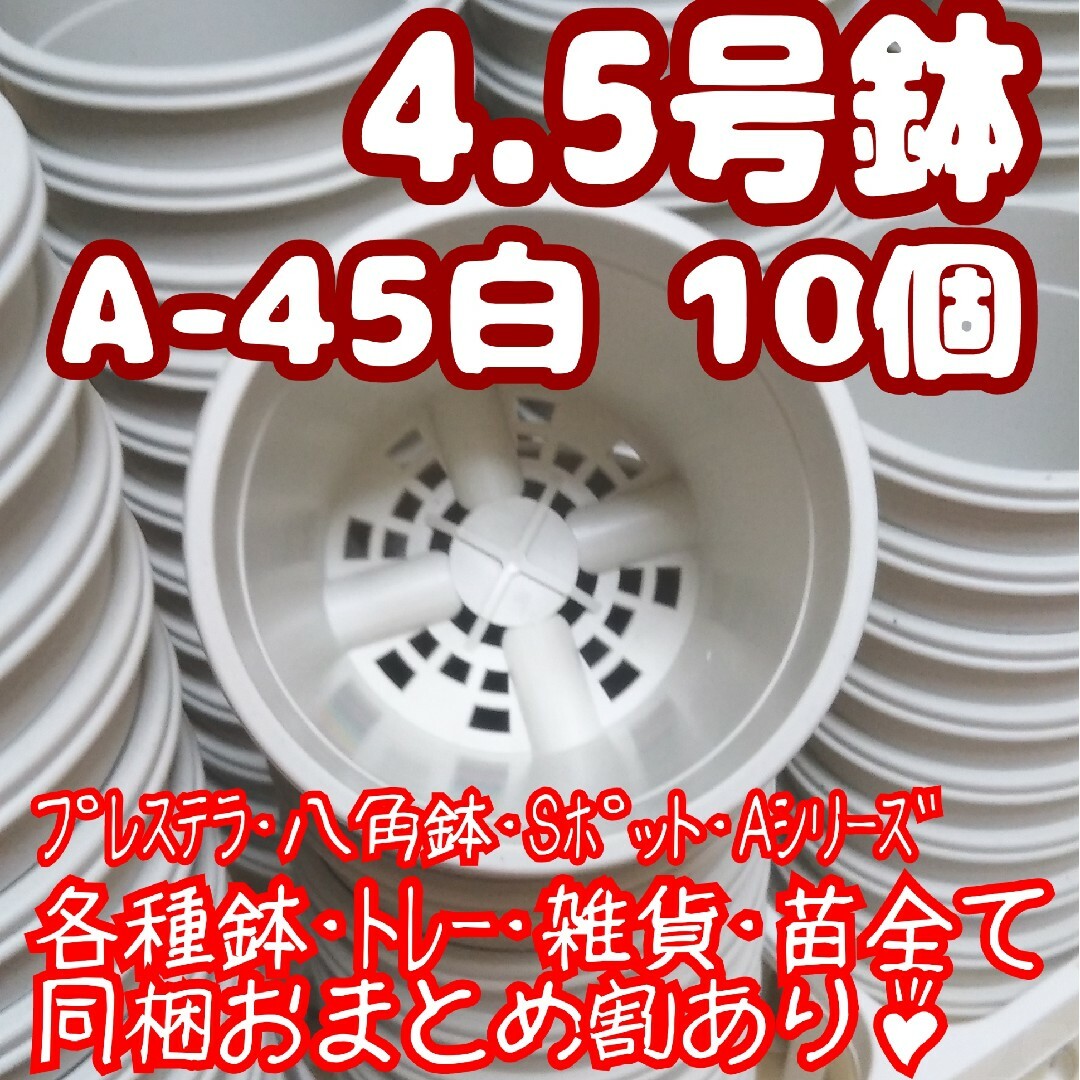 プラ鉢【A-45】10個 スリット鉢 丸 プレステラ 多肉植物 ハンドメイドのフラワー/ガーデン(プランター)の商品写真