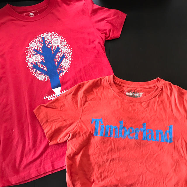 Timberland(ティンバーランド)の値下げ！ティンバーランド Tシャツ  メンズのトップス(Tシャツ/カットソー(半袖/袖なし))の商品写真