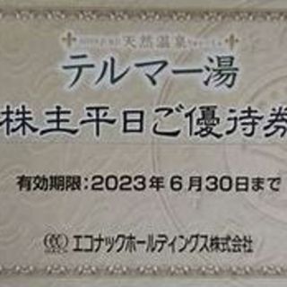 半額以下 2枚 テルマー湯 エコナック 株主優待 平日ご優待券 2023/6/3(その他)