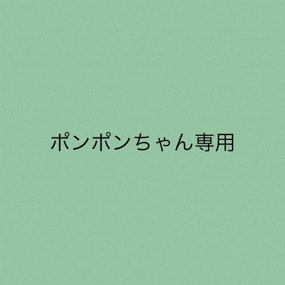 ポンポンちゃん専用★3点