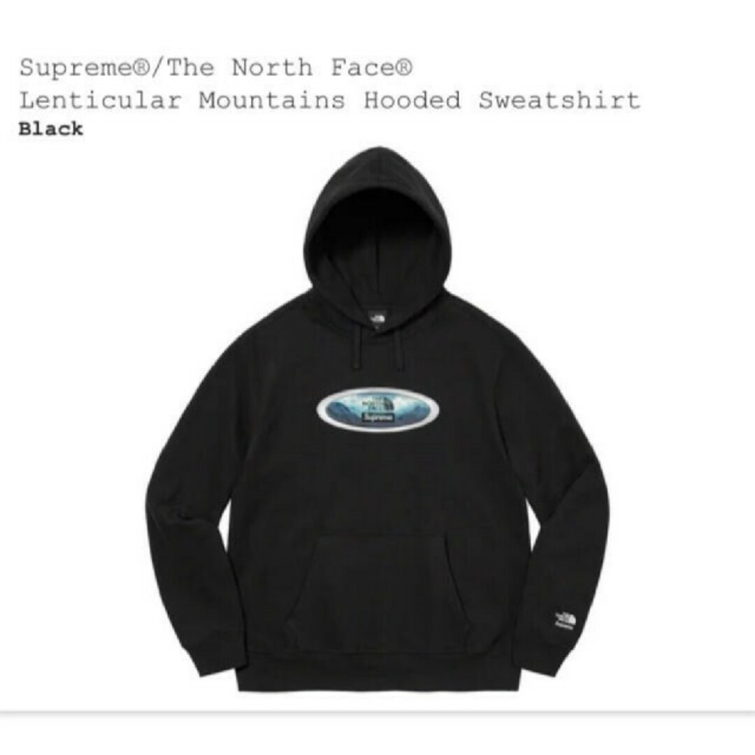 Supreme®/The North Face® Lenticular Mou