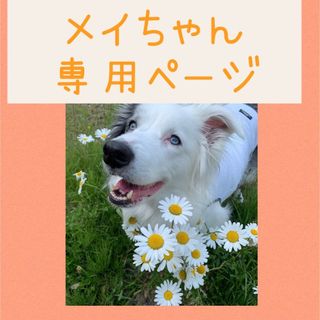 ジャーキー🎁❤️(犬)