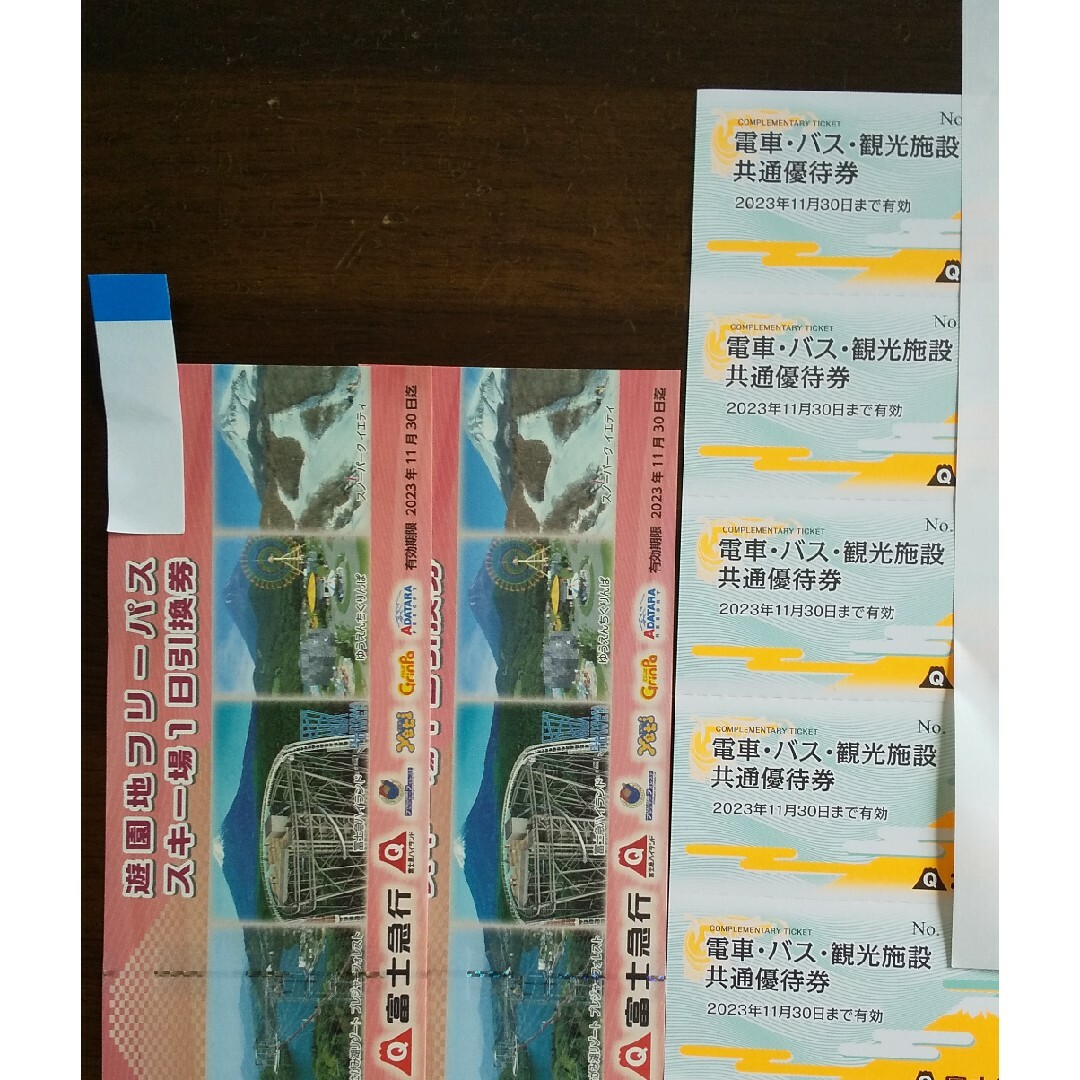 らら様専用富士急ハイランドフリーパス3枚 チケットの施設利用券(遊園地/テーマパーク)の商品写真