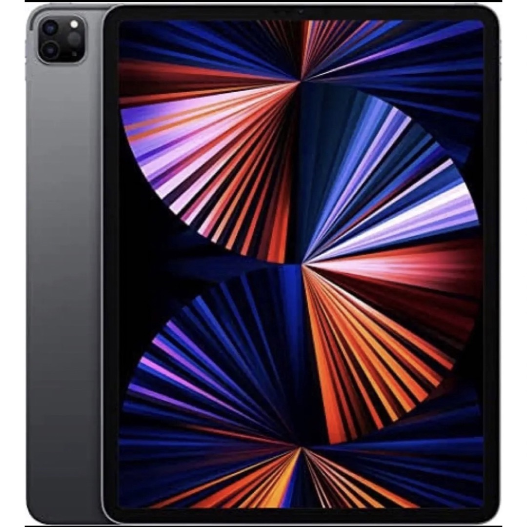 極美品 iPadPro 第5世代 12.9インチ セルラー 128GB ケース付