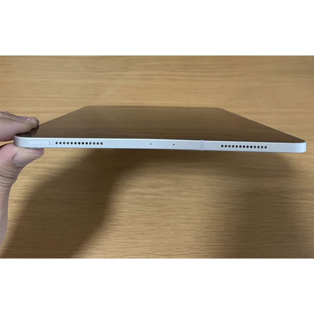 256GB iPad Pro 11 第一世代 セルラー simフリー