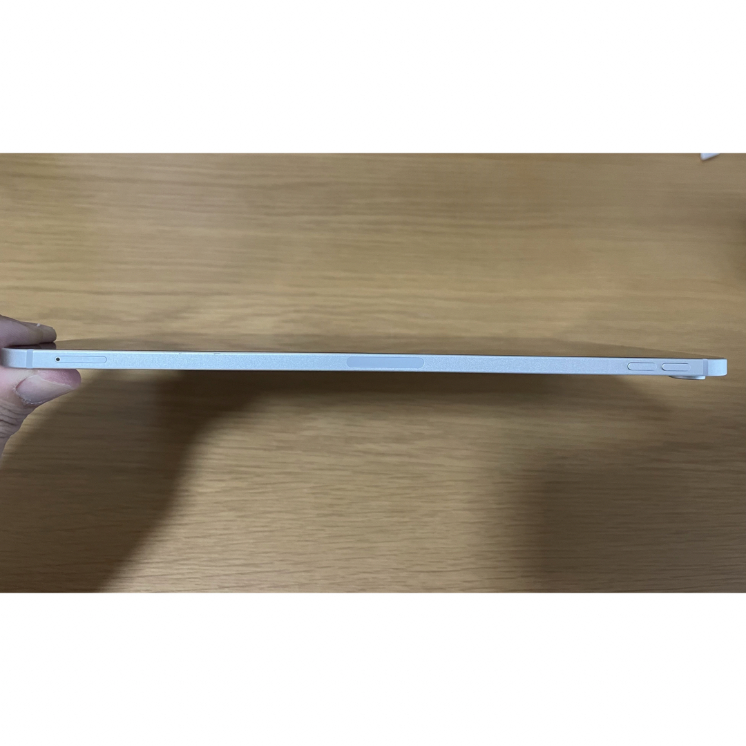 256GB iPad Pro 11 第一世代 セルラー simフリー 256GB iPad Pro 11 第一世代 セルラー simフリー