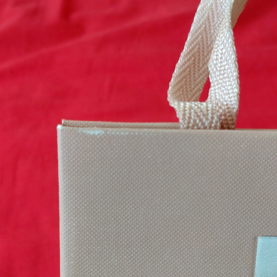 miumiu(ミュウミュウ)のmiumiu　ミュウミュウ　ショッパー　紙袋 レディースのバッグ(ショップ袋)の商品写真
