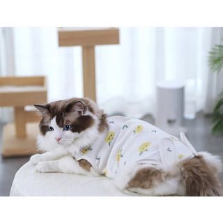 猫 犬 術後服 術後ウェア フルーツ 服 傷口保護 ペット用品  ペット服(猫)