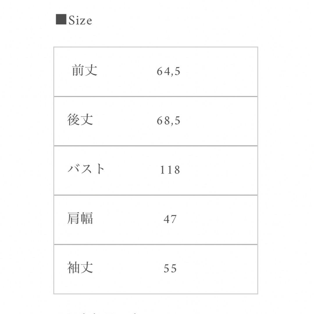 シャツ/ブラウス(長袖/七分)Maison Echelle ハシゴレース　ビッグカラーシャッツ　ライトブルー