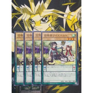 ユウギオウ(遊戯王)の遊戯王　召喚師ライズベルト　４枚(シングルカード)