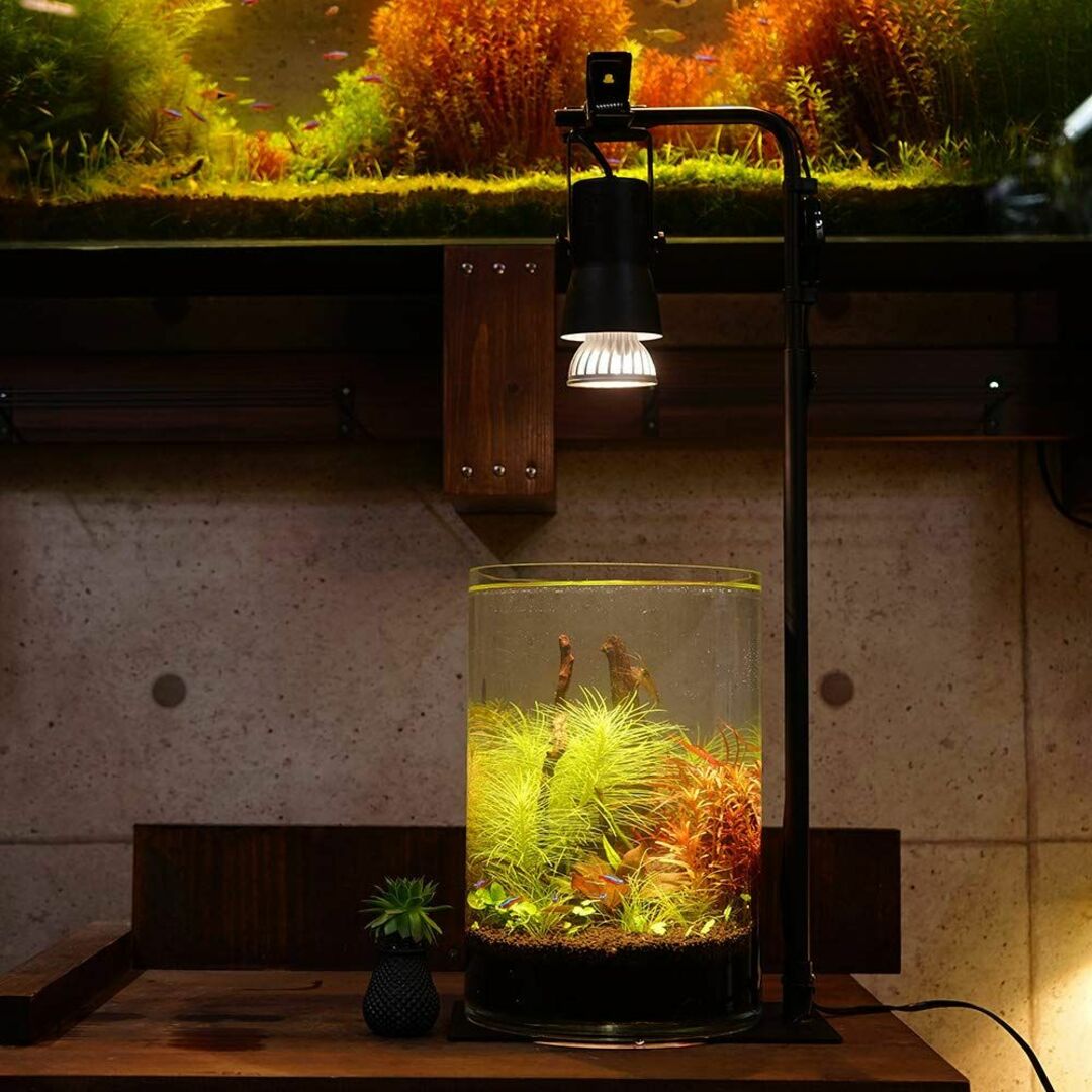 【在庫処分】植物育成LED E17 SUN-10W 3