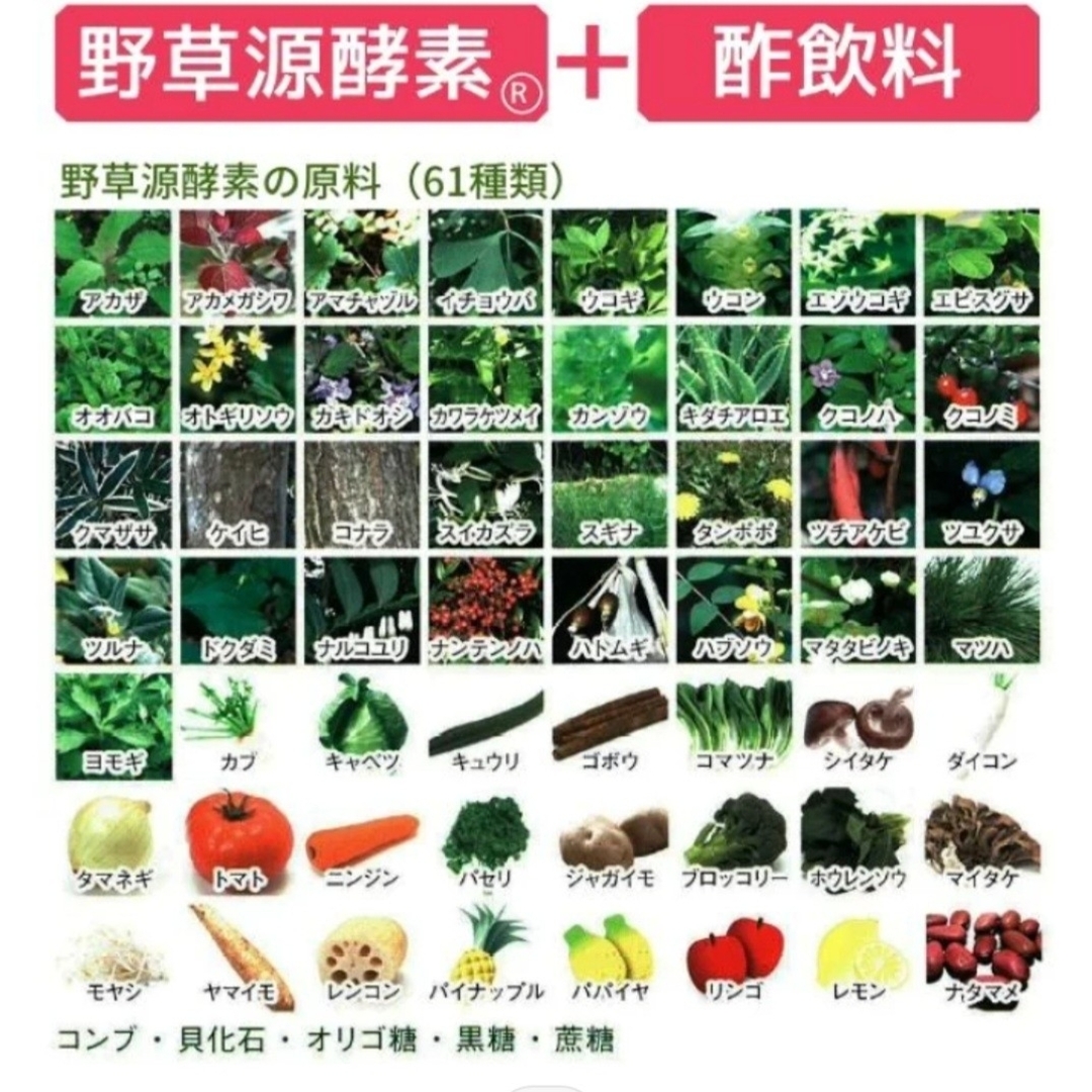 植物発酵エキス・乳酸菌発酵液 豊醸のちから 1000mL 3本 | www.sfmu.edu.bd