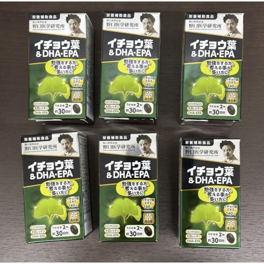 6個野口医学研究所 イチョウ葉&DHA・EPA 60粒 国内正規品 新品