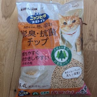 カオウ(花王)のニャンとも清潔トイレ(猫)