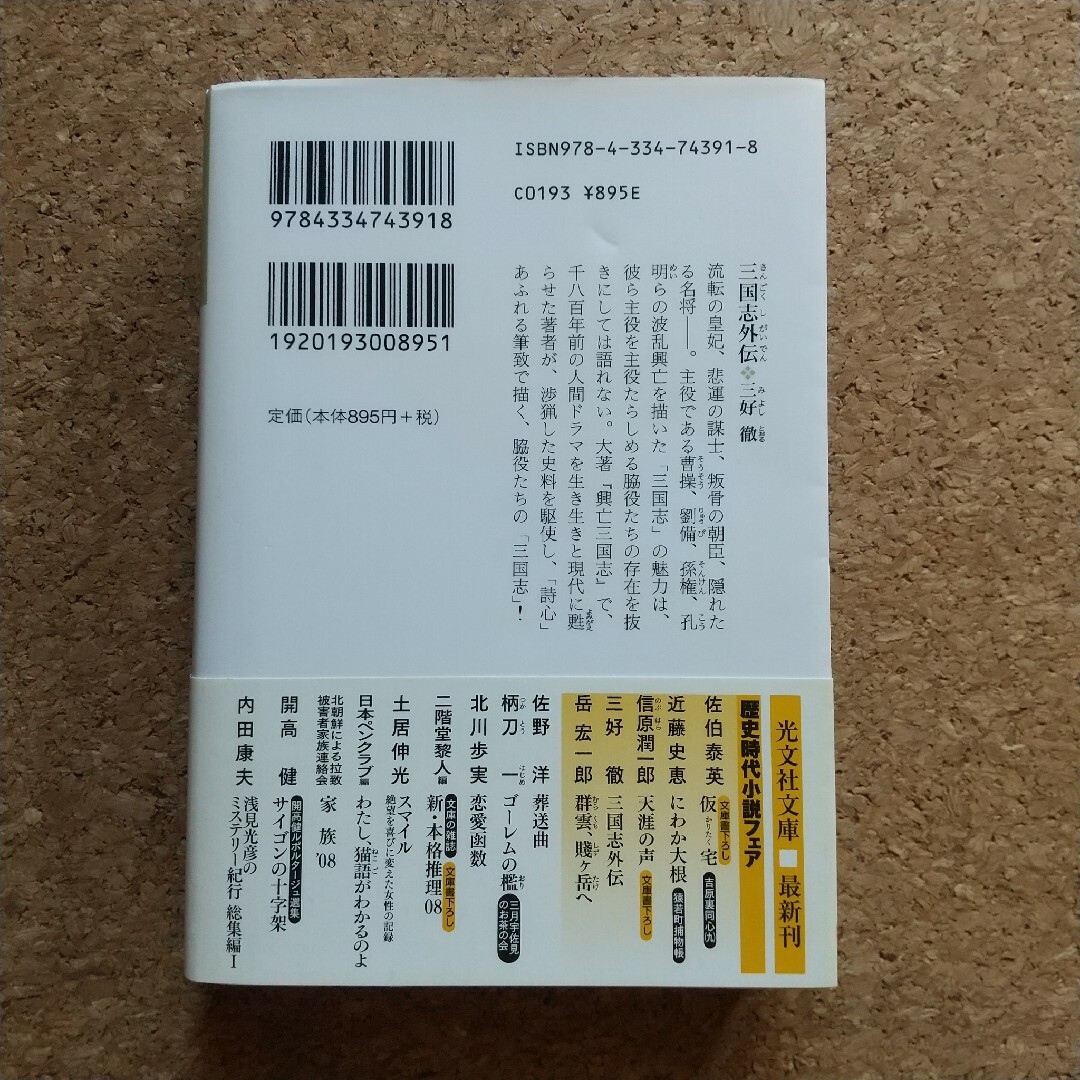 三国志外伝 エンタメ/ホビーの本(文学/小説)の商品写真