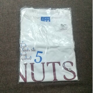 小沢健二 NUTS Tシャツ(ミュージシャン)