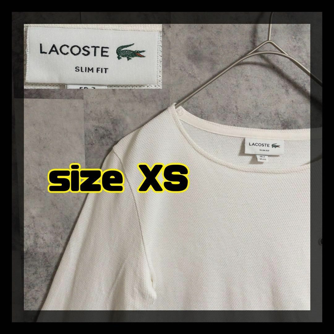 LACOSTE(ラコステ)の【美品】LACOSTE　トップス　サイズＸＳ　白　ロゴあり　丸首　即日発送 レディースのトップス(Tシャツ(長袖/七分))の商品写真