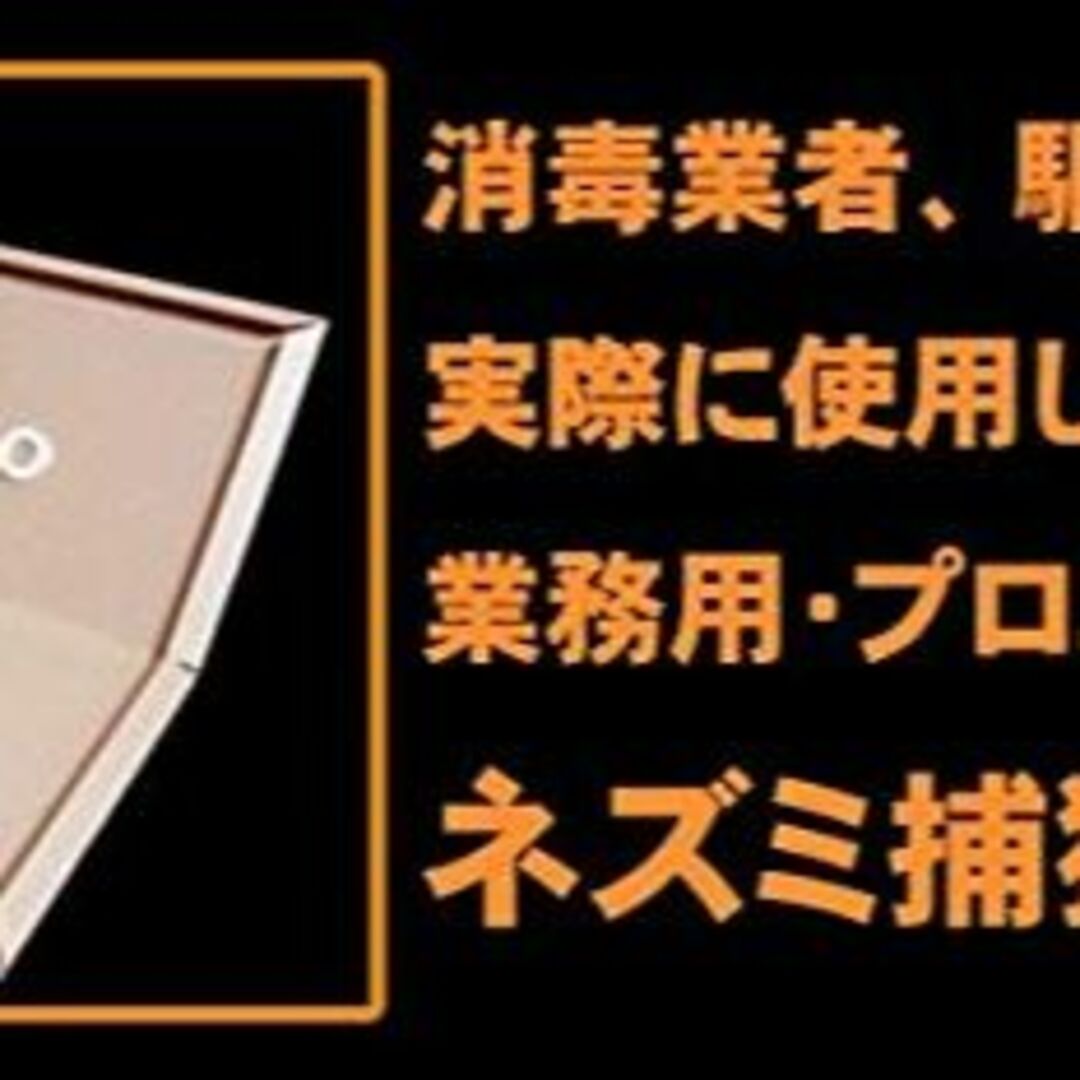 セール特価 シーズファクトリー 鳥居枠組補剛材 アール部 兼 筋かい ブレス部 幅24cm 長さ2.5m NST000041 1枚 