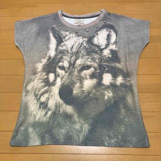 ザラ(ZARA)のTシャツ　グレー　ZARA(Tシャツ(半袖/袖なし))