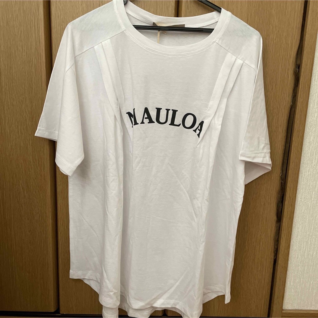 Anna Kerry(アンナケリー)のAnna Kerry  Tシャツ　カットソー レディースのトップス(Tシャツ(半袖/袖なし))の商品写真