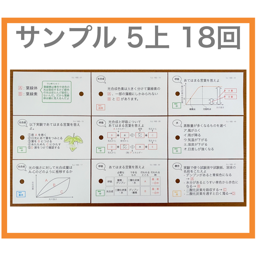 中学受験【5年上 社会・理科16-19回】 暗記カード 予習シリーズ 組分け対策