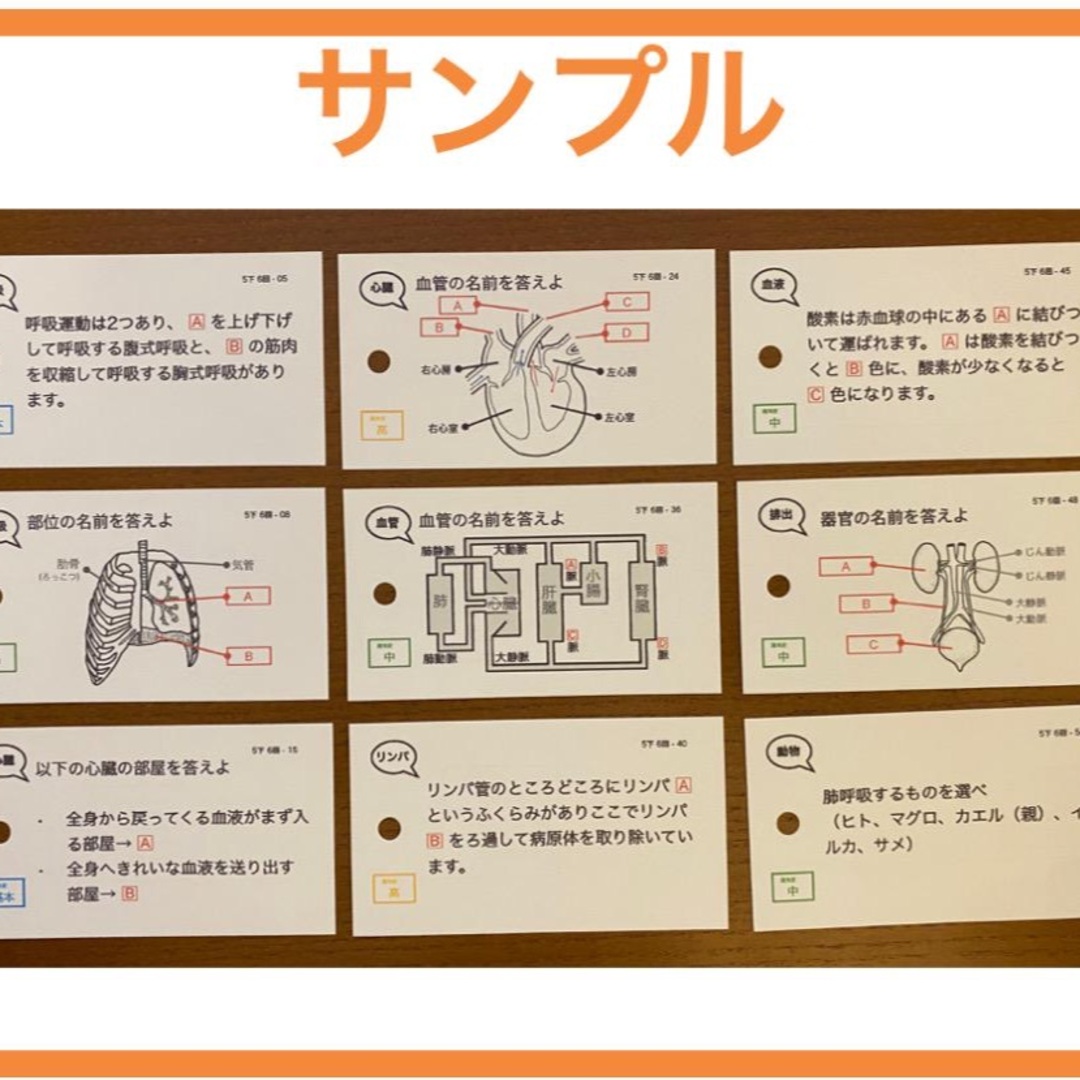中学受験【5年 社会・理科 上18-19回、下1-18回】 暗記カード
