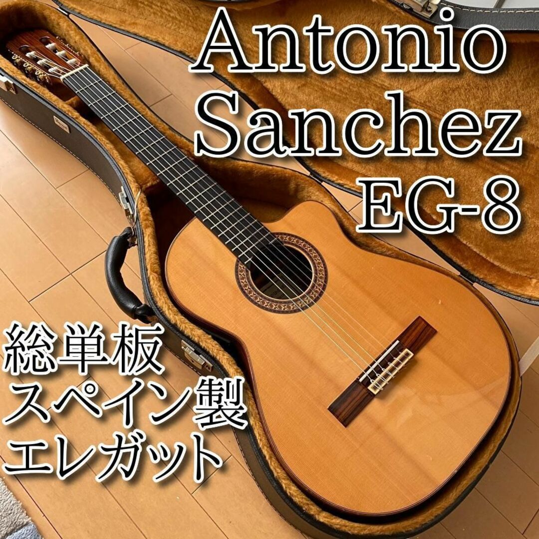 クラシックギター 【希少・名器】Antonio Sanchez EG-8 松 2010年 総単