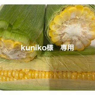 ゴールドラッシュ　トウモロコシ　訳あり(野菜)