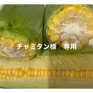 ゴールドラッシュ　トウモロコシ　訳あり(野菜)