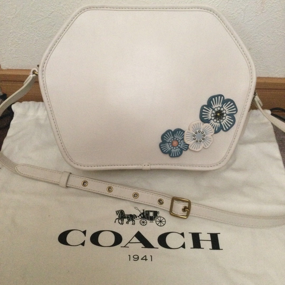 ❤️親ロ派独立を承認❤️ coach コーチ ティーローズ レザー