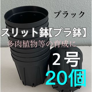 【スリット鉢】プラ鉢直径6cm 2号　20個セット【新品】ブラック(プランター)