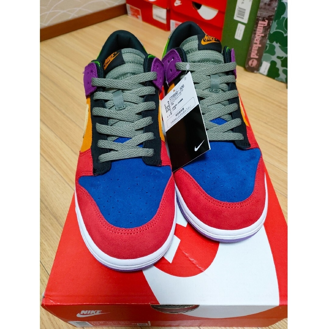 NIKE DUNK LOW SP CRAZY Viotec 28.5cm