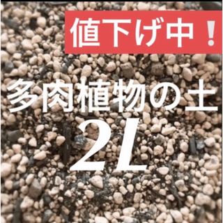 値下げ中❣️多肉植物　サボテンの土　約2リットル 即購入歓迎❣️(その他)