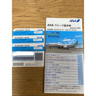 エーエヌエー(ゼンニッポンクウユ)(ANA(全日本空輸))のANA 全日空　株主優待番号案内書　3枚　＋グループ優待券(その他)