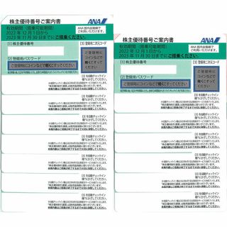 エーエヌエー(ゼンニッポンクウユ)(ANA(全日本空輸))のANA株主優待券13枚セット　有効期限2023.11.30(航空券)