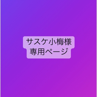 【サスケ小梅様 専用】麻の葉＆矢絣スカート(スカート)