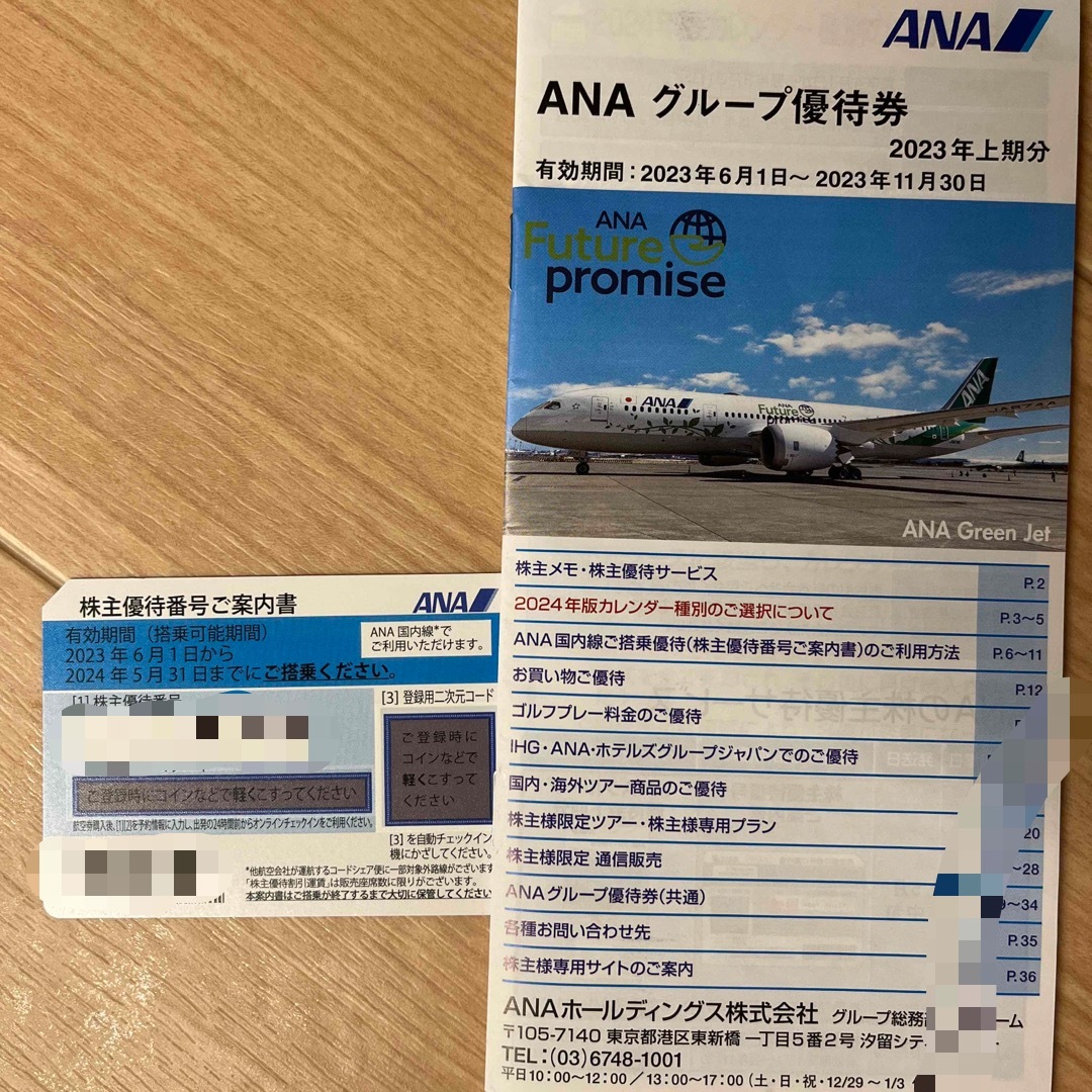 ANA(全日本空輸)(エーエヌエー(ゼンニッポンクウユ))のANA株主優待券1枚　2024年5月31日まで チケットの優待券/割引券(その他)の商品写真