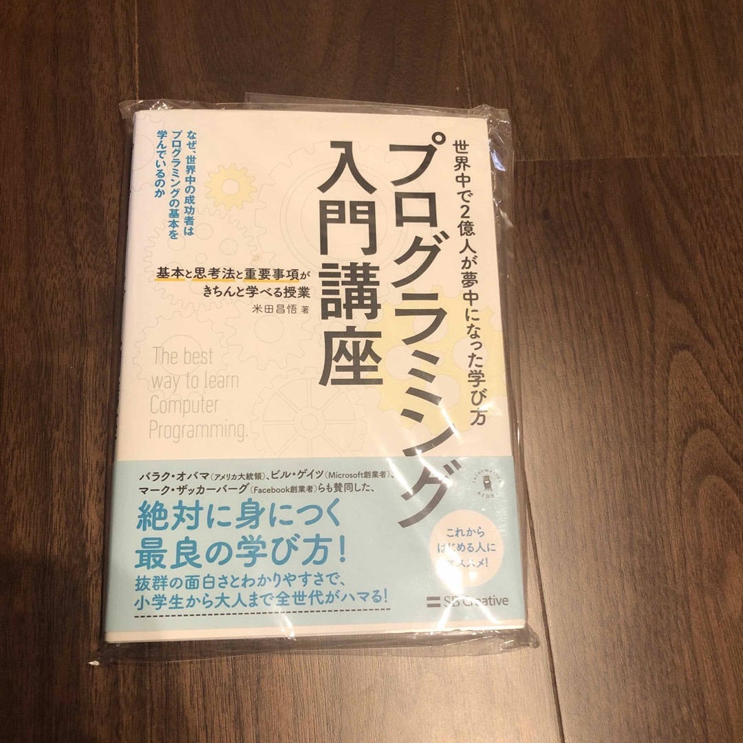 プログラミング入門講座 基本と思考法と重要事項がきちんと学べる授業 エンタメ/ホビーの本(コンピュータ/IT)の商品写真