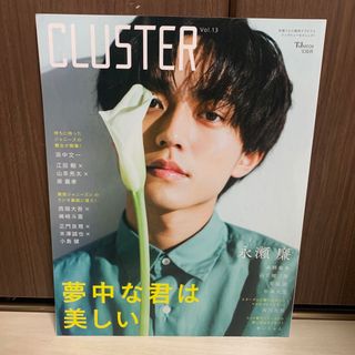 タカラジマシャ(宝島社)のＣＬＵＳＴＥＲ 俳優たちのグラビアとインタビューをキャッチ！ Ｖｏｌ．１３(アート/エンタメ)