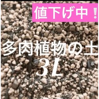 値下げ中❣️多肉植物　サボテンの土　約3リットル 即購入歓迎❣️(その他)