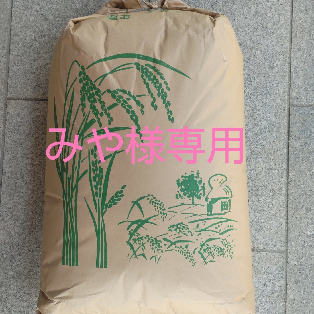 お米愛媛県ヒノヒカリ３０kg✕２袋　米/穀物