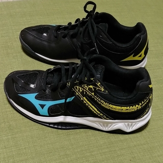 ミズノ(MIZUNO)の美品です。ミズノ　体育館用シューズ　24センチ(シューズ)