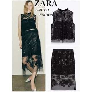 ザラ(ZARA)の匿名配送　ZARA リミテッドエディション　2点 セットアップ　総刺繍　レース(ロングワンピース/マキシワンピース)