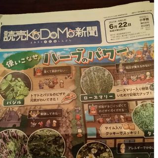 読売子供新聞　6月22日(ニュース/総合)