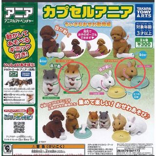 タカラトミーアーツ(T-ARTS)の【新品】カプセルアニア　ちいさなおせわ動物編　２個セット(その他)