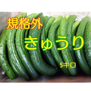 規格外きゅうり(野菜)