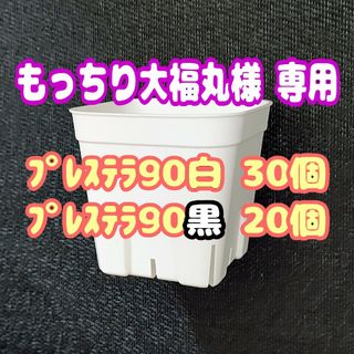 【スリット鉢】プレステラ90白30個 他 多肉植物 プラ鉢(プランター)